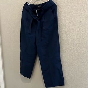 NWT Ann Taylor linen pants, medium petite.